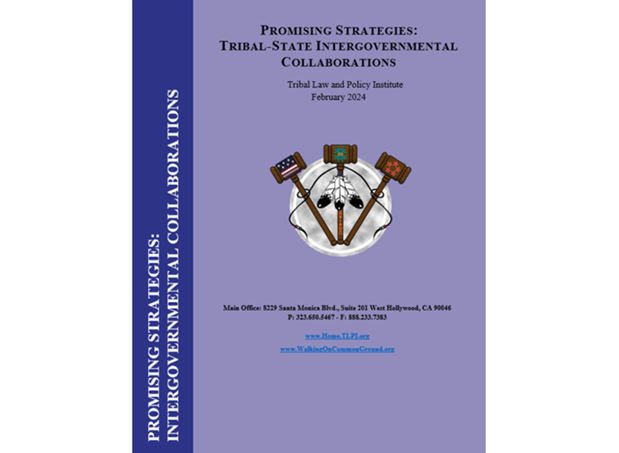 Promising Strategies in Intergovernmental Collaborations publication cover in purple